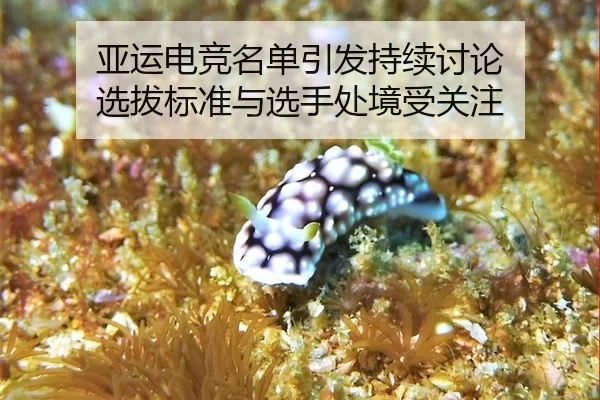 亚运电竞名单引发持续讨论 选拔标准与选手处境受关注